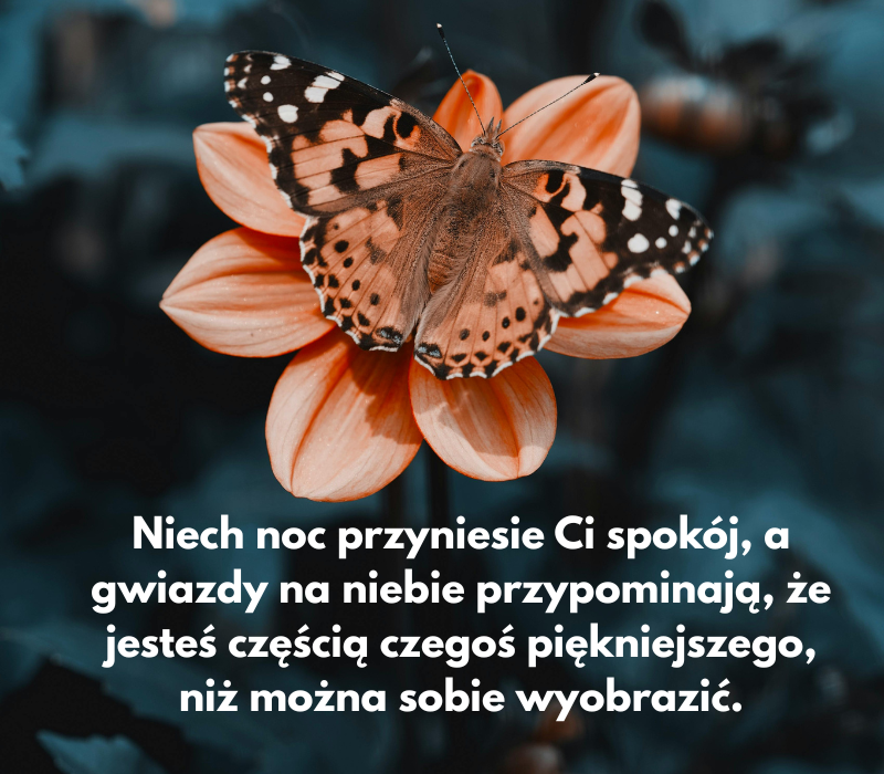 Mądre życzenia na dobranoc